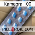 Kamagra 100 viagra3